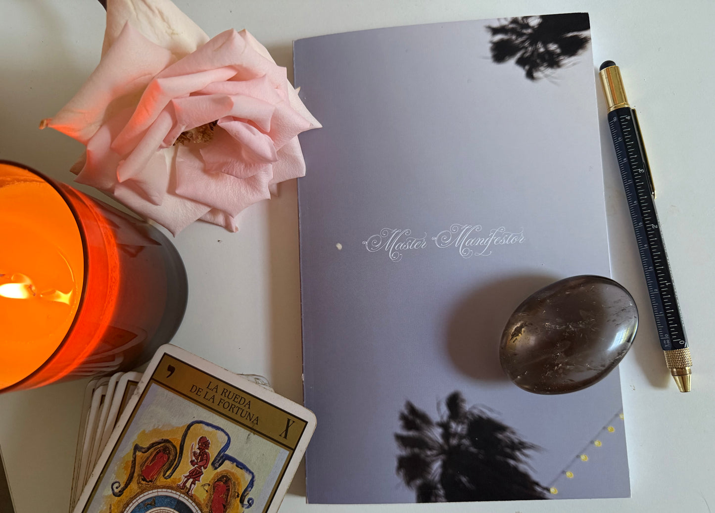 "Master Manifestor" Journal
