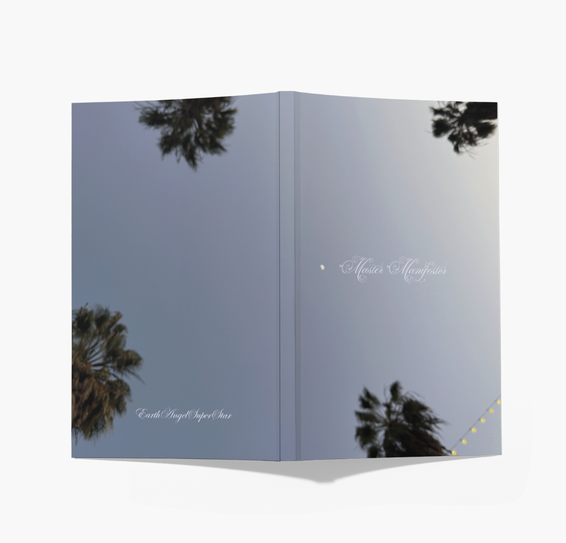 "Master Manifestor" Journal